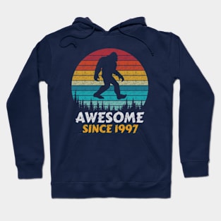 Awesome Since 1997 Hoodie